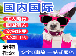 贵阳空运公司国际宠物托运 【国